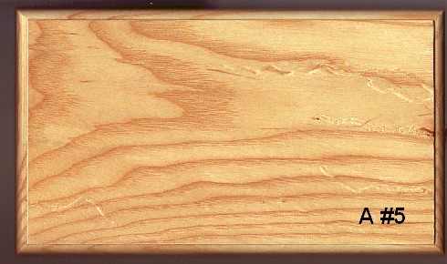 ash case #5