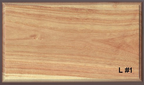 honey locust case #1